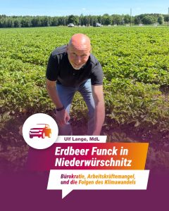 Erdbeer Funck in Niederwürschnitz